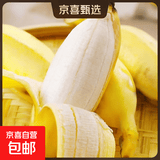 苹果蕉新鲜广西香蕉自然熟芭蕉香甜粉糯万澄现摘生鲜现发水果 带箱5斤