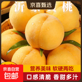 京喜加山东沂蒙山蒙阴黄桃蜜桃时令桃子脆甜多汁当季采摘锦绣黄桃水果 桃味满满【中果】 【好吃油桃】3-6粒精品果