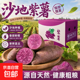 正宗沙地紫薯紫罗兰紫薯宝宝早餐辅食烤红薯地瓜农家自种源头直发 紫薯中大果（3两起） 彩箱5斤 带网套