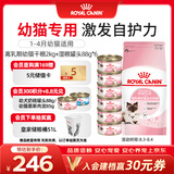 皇家猫粮 离乳期幼猫粮干湿套装BK34 2KG+幼猫湿粮罐头BMC 88g*6