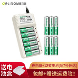 德力普（Delipow） 充电电池 5号/7号电池充电器套装适用电动牙刷/玩具/遥控器 充电器+12节电池【5号7号可选】