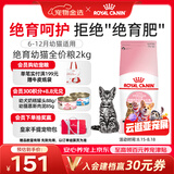 皇家猫粮 绝育幼猫粮 KS34 通用粮 6-12月 2KG