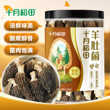 十月稻田羊肚菌 50g 云南产 菌菇汤包 鸡汤煲汤火锅食材 菌菇干货