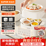 苏泊尔（SUPOR）电炖锅 炖汤盅 电炖盅隔水炖家用全自动煲汤炖汤锅陶瓷燕窝炖盅4.5L蒸炖一体多功能锅 DZ25FC873