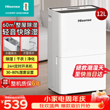 海信（Hisense）除湿机12升/天60㎡回南天家用抽湿机地下室 轻音卧室净化干衣抽湿器去湿防潮 宿舍CF12BD/U