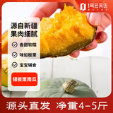 趣尝鲜新疆银板栗蟹黄南瓜 1-2粒 净重4.5斤起 粉糯香甜 源头直采