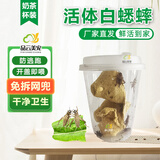 品云美宠白蟋蟀活体针头蛐蛐油葫芦蜥蜴守宫鬃狮角蛙蜘蛛蝎子爬宠活食饲料 【奶茶杯装】白蟋蟀1-2cm 50只