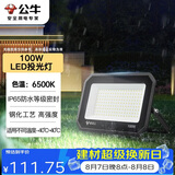 公牛（BULL）LED投光灯户外庭院工厂园林灯露营灯 IP65防水等级100W-6500K白光
