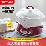 天际（TONZE）电炖锅 隔水炖 煮粥 炖汤  电煮锅家用煲汤锅燕窝滋补养生智能预约大升数电炖盅 家庭款【隔水蒸炖】4升|3-6人|5胆 4L