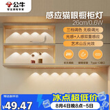公牛（BULL）感应猫眼橱柜灯磁吸充电山丘光效展柜玄关氛围小夜灯 银26cm三色