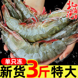 北海湾 虾 青岛海鲜大虾国产鲜活冷冻基围虾虾类水产生鲜白虾青虾海对虾 气冻大虾 3斤(净重)  16-18cm【单只冻 特大虾】