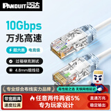 泛达 泛达超六类细网线CAT6A类跳线家用电脑宽带POE监控万兆高速成品线 圣洁白 0.2米