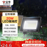 公牛（BULL）LED投光灯户外庭院工厂园林灯露营灯 IP65防水等级20W-6500K白光