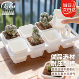 寿禾 育苗盒方形育苗杯种植盆培育种苗 育苗盒套装(含托架)-白色款