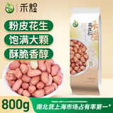 禾煜 花生仁1.6斤（粉皮 花生米 生花生  五谷杂粮 真空装 粗粮）