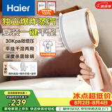 海尔（Haier）手持挂烫机30g爆炸蒸汽160ml水箱家用便携大蒸汽电熨斗小型迷你差旅干湿平挂两用熨衣神器HSS-B08W