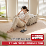 东升100%新西兰羊毛无胶水无甲醛抗菌防螨客厅卧室环保地毯可定制尺寸 澜品 3.4m*2.4m 1件