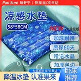 盼舒宁【万评口碑优选】水垫注水垫冰垫防病人水袋医床垫褥疮床上护理用 58*58cm【送冰晶 * 店长强推】 加厚防爆 | 注水款 | 深蓝色雪花图案