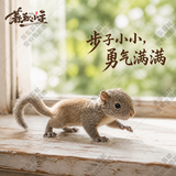 暮秋小主2026头窝家养松鼠活物幼崽宠物雪地黄山金花松鼠活物魔王松鼠活体 黄山松鼠幼崽（公母备注）