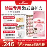 皇家猫粮 离乳期幼猫粮干湿套装BK34 2KG+幼猫湿粮罐头BMC 88g*6