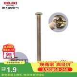 德力西（DELIXI）螺丝钉5公分长3.8mm十字加长螺丝平头钉 开关插座通用配件20只/包