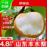 京地达山东丰水梨净重4.8斤大果350g+京东自营新鲜纯甜梨子源头直发包邮