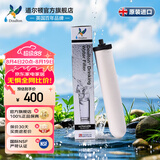 道尔顿（Doulton）净水器滤芯英国原装进口天然矽藻瓷滤芯 M10 BSPUCC同港版9504道尔顿专用滤芯