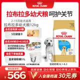 皇家狗粮 拉布拉多幼犬狗粮 宠物大型犬 ALR33 全价犬粮 2-15月 12KG