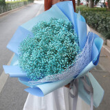 艾斯维娜520情人节鲜花速递满天星玫瑰花束送女友生日礼物全国同城配送 蓝色满天星款式-高雅款