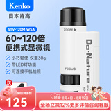 KENKO日本肯高迷你便携式显微镜STV-120M鉴定工具观察探索微观儿童礼物 STV-120M+手机夹