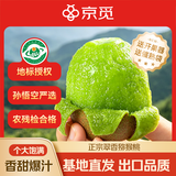 京觅&孙悟空陕西翠香绿心猕猴桃24粒单果70g+ 新鲜水果 源头直发 包邮