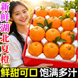 黄六爷正宗湖北夏橙榨汁橙子大果新鲜当季水果柑橘蜜桔手剥脐橙鲜橙整箱 9斤【中果】单果60-70mm|鲜甜多汁