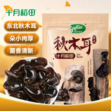十月稻田东北秋木耳 150g 黑木耳 干木耳 肉厚无根 火锅煲汤食材