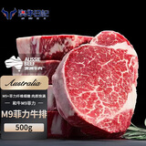 澳牛日记 澳洲和牛M9菲力原切牛排 净重500g 谷饲儿童雪花惠灵顿牛扒