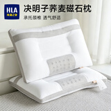 海澜之家（HLA）枕头枕芯艾草决明子颈椎枕睡眠护颈椎睡觉专用按摩保健枕成人家用 【决明子艾草磁石】立体款 一只装
