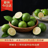 京鲜生 海南大青柠/青柠檬 8粒 单果70-100g  生鲜水果 