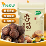 十月稻田 香菇 200g 干香菇 厚蘑菇冬菇 山珍菌菇干货 煲汤火锅炒菜食材