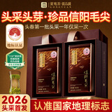贡苑2026新茶头采芽珍品信阳毛尖200g 高端明前嫩芽绿茶茶叶中秋礼品