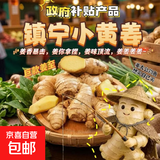 产地直发贵州镇宁新鲜现挖小黄姜生姜黄姜调味料新鲜蔬菜生鲜 三斤装 1500g 净重