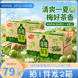 达利园青梅绿茶大瓶1L*12瓶*2箱青梅果汁饮品果味茶饮料夏日饮料整箱装