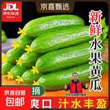 【超市品质】山东新鲜水果黄瓜嫩青瓜生吃蘸酱生鲜蔬菜减肥搭配 山东水果黄瓜带箱6斤净重 5.7斤 带箱