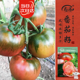 寿禾草莓番茄种子苗绿肩西红柿蔬菜种籽 潍丰贝雷塔草莓番茄种子25粒