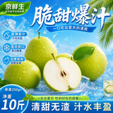 京鲜生安徽砀山青翠梨净重10斤 单果250g+ 新鲜水果源头直发