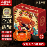 【活蟹】漁家师傅大闸蟹全母2-2.3两10只去绳足重鲜活现货螃蟹生鲜礼盒 源头直发