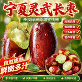 【顺丰包邮】宁夏灵武长枣脆甜金丝蜜枣鲜大枣新鲜现摘现发 【净重5斤大果】长3.5cm起