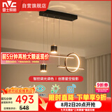 雷士（NVC）餐厅吊灯LED智能简约北欧轻奢黑金餐桌带筒灯长条灯智能款40瓦