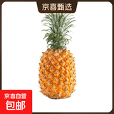广东湛江徐闻菠萝 香水菠萝 热带水果 2个 净重2.6-2.8斤 单果1.3斤起