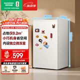 容声95L单门小冰箱家用一级能效小户型节能超薄保鲜出租房宿舍迷你以旧换新BC-95D12