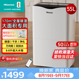 海信（Hisense）除湿机55升/天170㎡回南天抽湿机APP智控家用干衣除湿器别墅地下室复式仓库吸湿器大面积CF55BD/XW