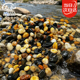 寿禾 溪流石造景装饰底砂水箱过滤养龟小石头 溪流石0.9-1.8cm2.5kg